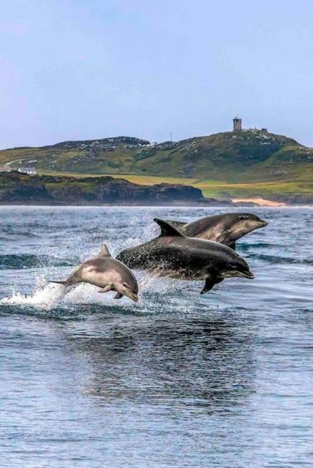 Cosy Portmor Log Cabin- Sea Views, Deck & Relaxation Malin Head Екстер'єр фото